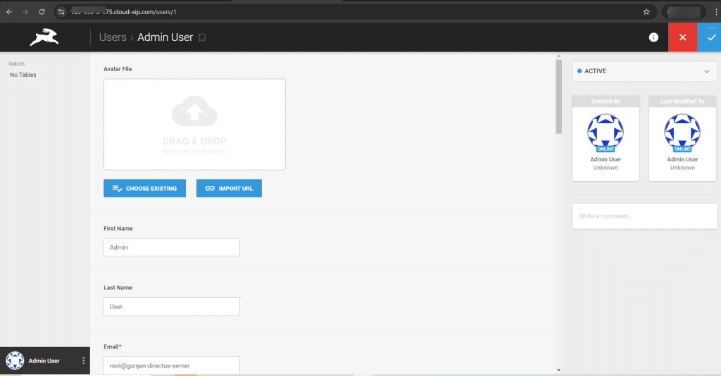 Directus admin user