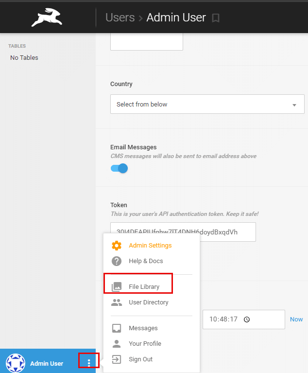 Directus admin user