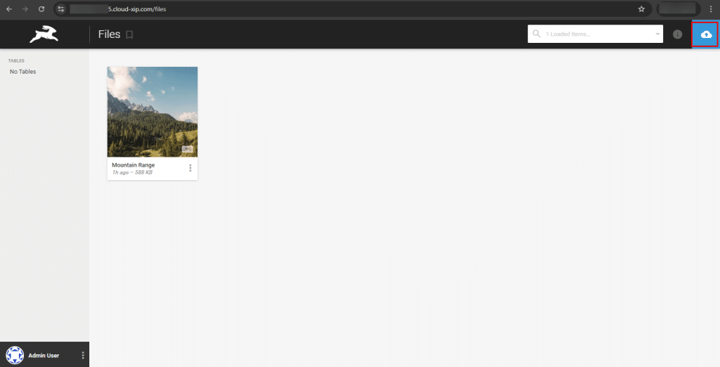 Adding files to Directus