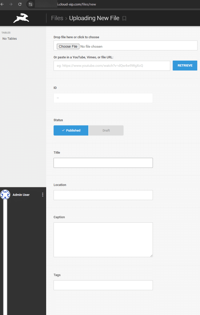 Uploading new file to Directus