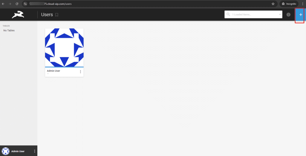Directus admin user
