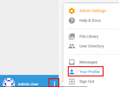 Directus Admin user profile