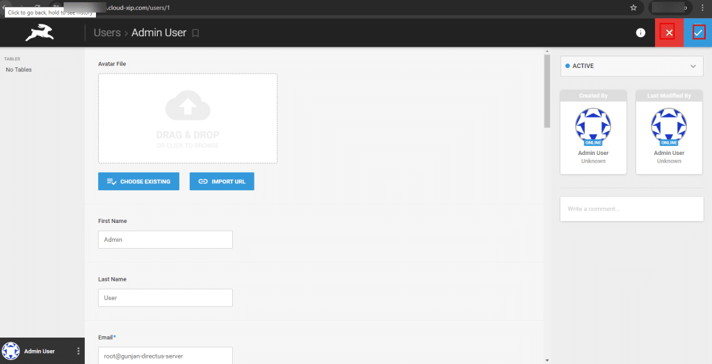 Directus user admin